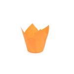 Tulip cups 160/50 oranje